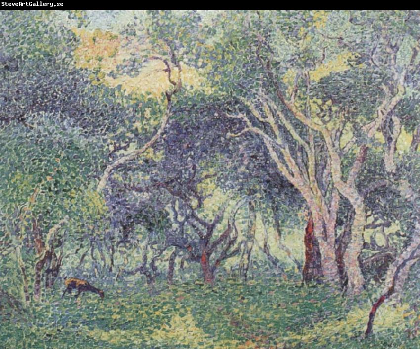 Henri Edmond Cross Undergowth